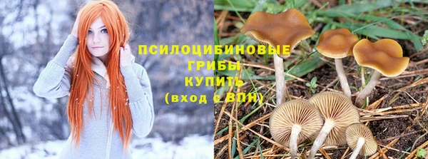 герыч Аркадак