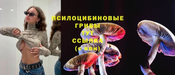 герыч Аркадак