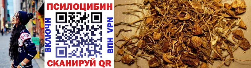 что такое наркотик  Краснотурьинск  Галлюциногенные грибы GOLDEN TEACHER 