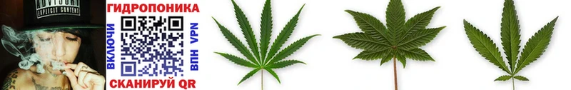 сколько стоит Краснотурьинск Конопля Ganja